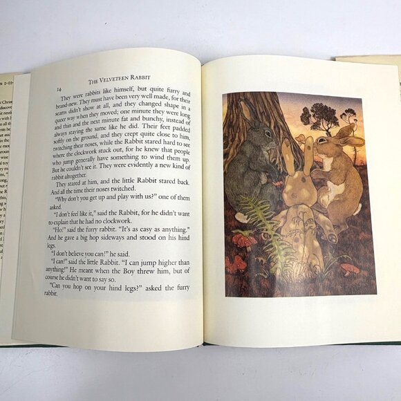 The Velveteen Rabbit Margery Williams Illustrated Michael Hague 1983 HBDJ  Book - Picture 6 of 9